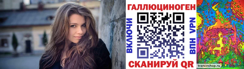 ссылка на мегу как войти  Краснотурьинск  Галлюциногенные грибы Cubensis 