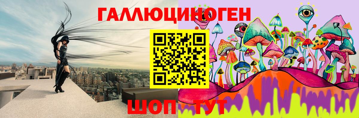 Псилоцибиновые грибы Psilocybine cubensis  Вход с VPN  Псилоцибиновые грибы мухоморы  что такое   Краснотурьинск 