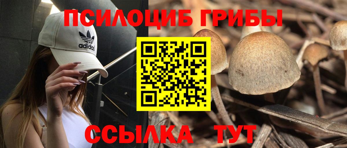 Псилоцибиновые грибы GOLDEN TEACHER Краснотурьинск